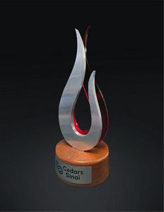 Metal and Lucite Award