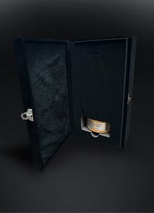 Metal and Lucite Award - Image 4