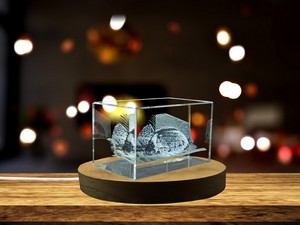 Salvador Dali Museum 3D Engraved Crystal Gift - Image 5