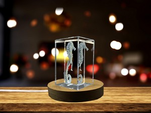 Caballito 3D Engraved Crystal Trophy Award - Iconic Lima Horse Statue, Recognition Home Decor - Image 5