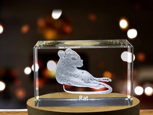Intricately Engraved Rat | 3D Engraved Crystal - Image 5