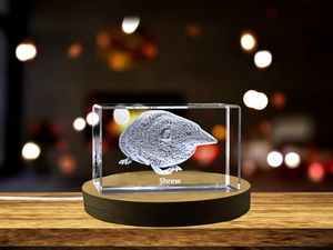 Shrew Whispers Recognition 3D Engraved Crystal Trophy Award with LED Base Light - Unique Keepsake