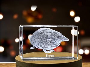 Shrew Whispers Recognition 3D Engraved Crystal Trophy Award with LED Base Light - Unique Keepsake - Image 5
