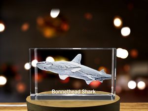 Graceful 3D Engraved Crystal | Bonnethead Shark - Image 6