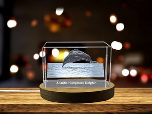 Gorgeous Atlantic Humpback Dolphin Engraved in Crystal Sculpture Collectible Figurine for Home Decor