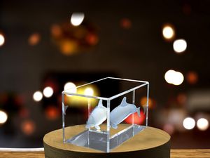 Stunning Chilean Dolphin Sculpted in Gorgeous Crystal Collectible Statue - Image 5