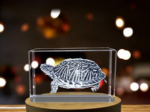 Desert Box Turtle Crystal Recognition Award - Exquisite 3D Engraved Reptile Artwork - Image 6
