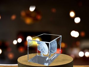 Spotted Turtle Crystal Recognition Trophy Paperweight - Handcrafted Artisan Engraving - Image 5