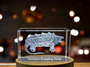 Common Snapping Turtle Engraved Crystal Paperweight Trophy Award - Nature Recognition Decor - Image 6