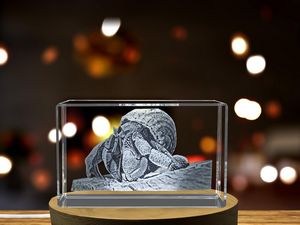 Hermit Crab 3D Engraved Crystal Trophy Award - Marine Life Recognition Sculpture - Image 6