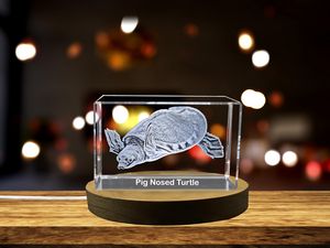 Pig-Nosed Turtle Crystal Paperweight Trophy Award - Unique Australian Freshwater Reptile Recognition