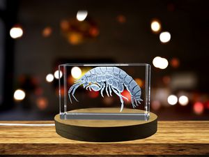 Exquisitely 3D Engraved Sand Hopper Crystal Sculpture