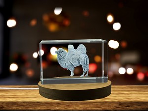 Stunning Bactrian Camel 3D Engraved Crystal Decor Gift