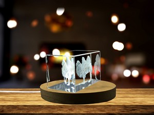Stunning Bactrian Camel 3D Engraved Crystal Decor Gift - Image 5