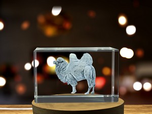Stunning Bactrian Camel 3D Engraved Crystal Decor Gift - Image 6