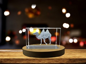 Stunning Wild Bactrian Camel 3D Engraved Crystal Unique Decorative Gift