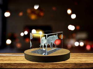 Maned Wolf 3D Engraved Crystal Trophy Award - Recognition for Nature Lovers - LED Base Included - Image 5
