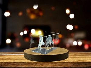 Rüppell's Fox 3D Engraved Crystal Trophy Award Recognition - Exquisite Wildlife Sculpture with LED - Image 5