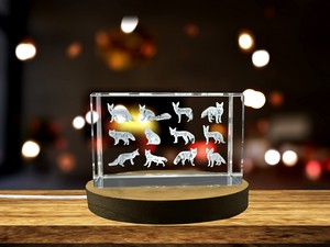 Genus Vulpes 3D Engraved Crystal Trophy Award - Recognition Gift with LED Base for Wildlife Art