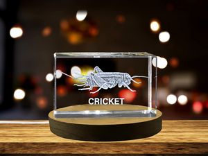 Charming 3D Engraved Crystal of a Playful Cricket - Perfect for Nature Lovers and Insect Enthusiasts