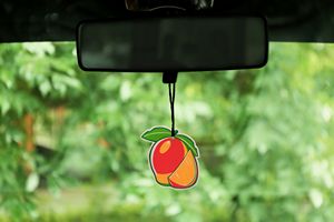 Custom Air Freshener - Image 3