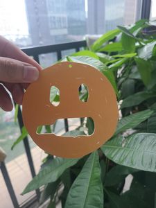 Custom Pumpkin Shaped Air Freshener - Image 5