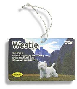 Rectangle Shape Air Freshener (4'' x 3'')