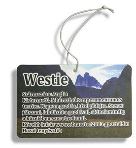 Rectangle Shape Air Freshener (4'' x 3'') - Image 2