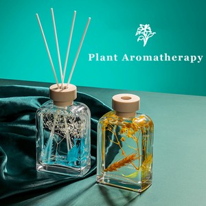 Plant Air Aromatherapy
