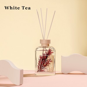 Plant Air Aromatherapy - Image 8